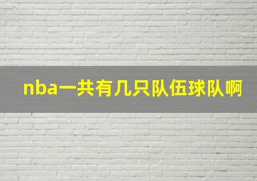 nba一共有几只队伍球队啊