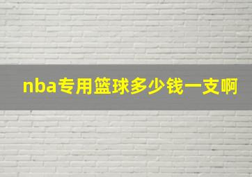 nba专用篮球多少钱一支啊