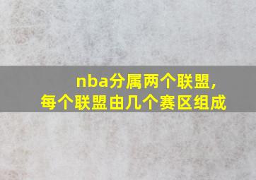 nba分属两个联盟,每个联盟由几个赛区组成