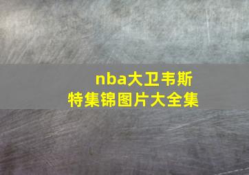 nba大卫韦斯特集锦图片大全集