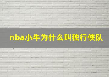 nba小牛为什么叫独行侠队