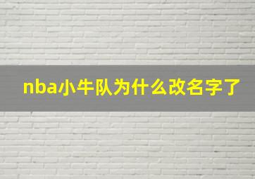 nba小牛队为什么改名字了