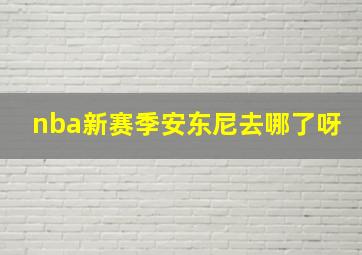 nba新赛季安东尼去哪了呀