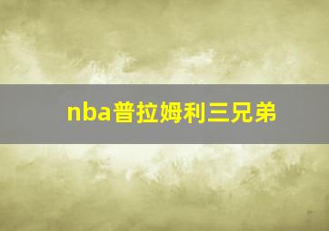 nba普拉姆利三兄弟