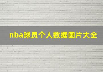 nba球员个人数据图片大全