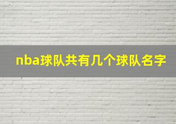 nba球队共有几个球队名字