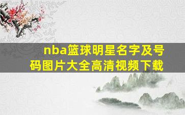 nba篮球明星名字及号码图片大全高清视频下载