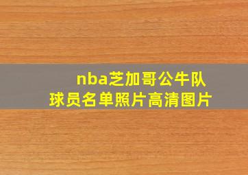 nba芝加哥公牛队球员名单照片高清图片