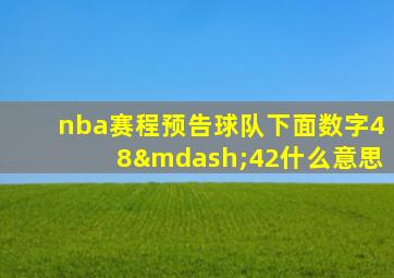 nba赛程预告球队下面数字48—42什么意思