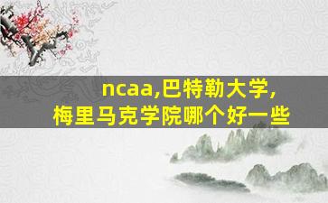 ncaa,巴特勒大学,梅里马克学院哪个好一些