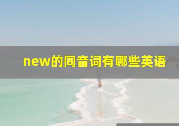 new的同音词有哪些英语