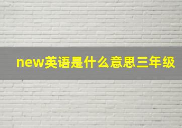 new英语是什么意思三年级