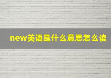 new英语是什么意思怎么读