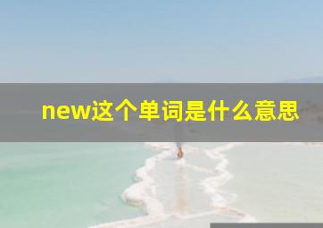 new这个单词是什么意思