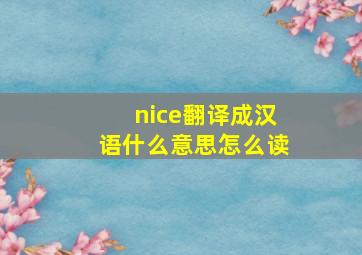 nice翻译成汉语什么意思怎么读