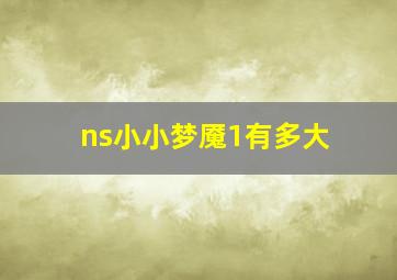 ns小小梦魇1有多大