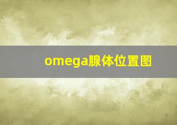 omega腺体位置图