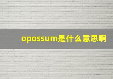 opossum是什么意思啊