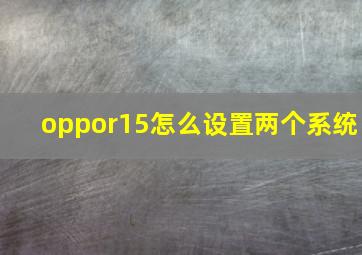 oppor15怎么设置两个系统