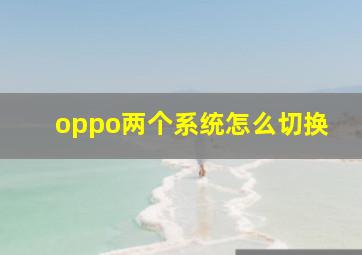 oppo两个系统怎么切换