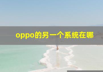 oppo的另一个系统在哪