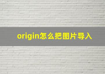 origin怎么把图片导入