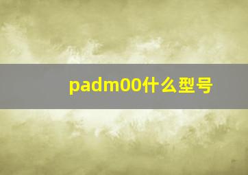 padm00什么型号