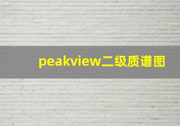 peakview二级质谱图