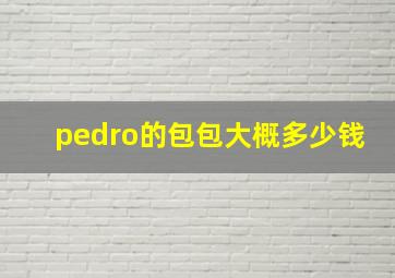 pedro的包包大概多少钱