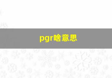 pgr啥意思