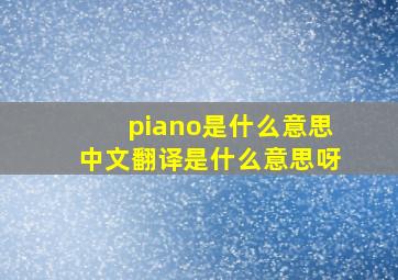 piano是什么意思中文翻译是什么意思呀