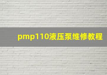 pmp110液压泵维修教程