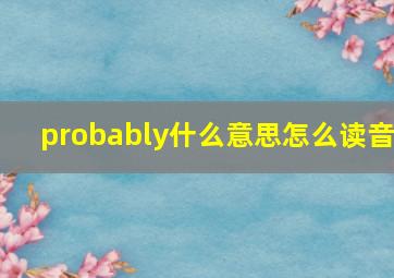 probably什么意思怎么读音