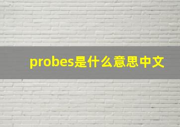 probes是什么意思中文