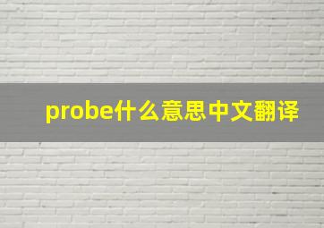 probe什么意思中文翻译