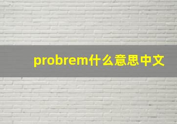 probrem什么意思中文