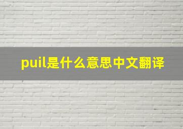 puil是什么意思中文翻译