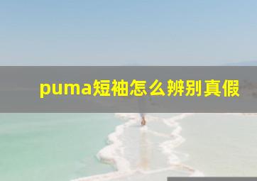 puma短袖怎么辨别真假