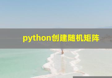 python创建随机矩阵