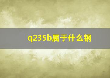 q235b属于什么钢