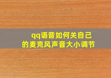 qq语音如何关自己的麦克风声音大小调节