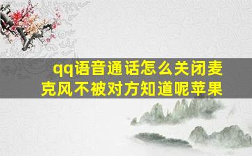 qq语音通话怎么关闭麦克风不被对方知道呢苹果