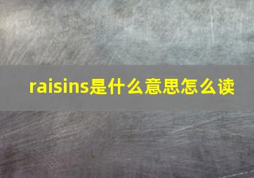 raisins是什么意思怎么读