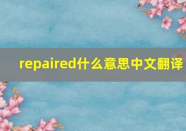 repaired什么意思中文翻译