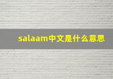 salaam中文是什么意思