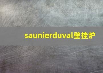 saunierduval壁挂炉