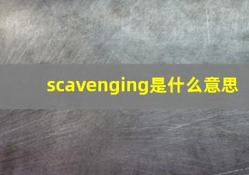 scavenging是什么意思