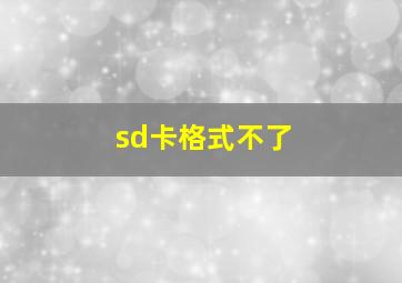 sd卡格式不了