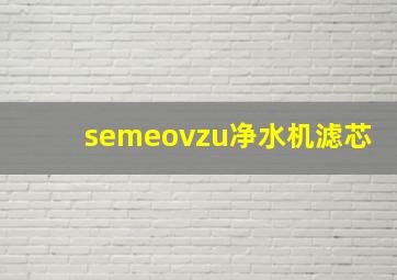 semeovzu净水机滤芯