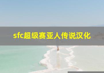 sfc超级赛亚人传说汉化